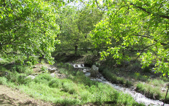 به شهر ما بیایید - زمستان در خرماپزانِ بندر هنزا در رابر کرمان به شهر ما بیایید - زمستان در خرماپزانِ بندر هنزا در رابر کرمان