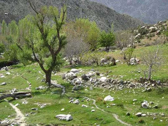 به شهر ما بیایید - زمستان در خرماپزانِ بندر هنزا در رابر کرمان به شهر ما بیایید - زمستان در خرماپزانِ بندر هنزا در رابر کرمان