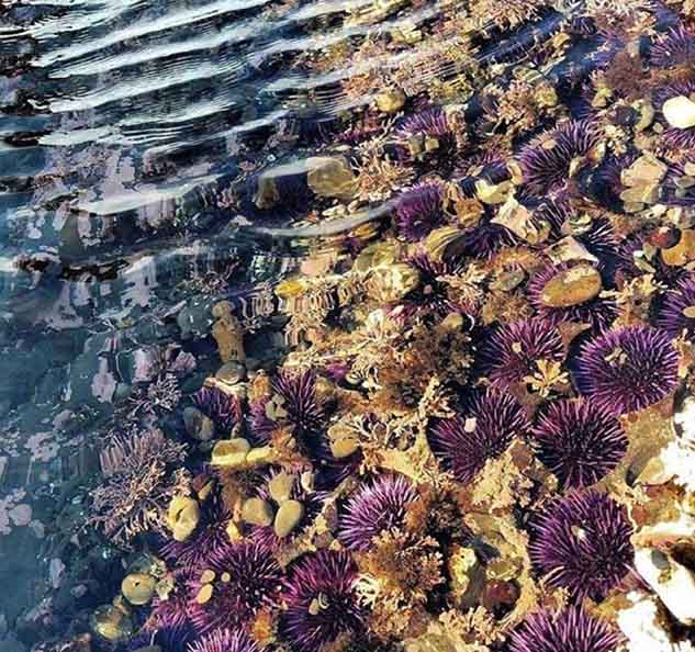 تصاویر جالب از نشنال‌جئوگرافیک 