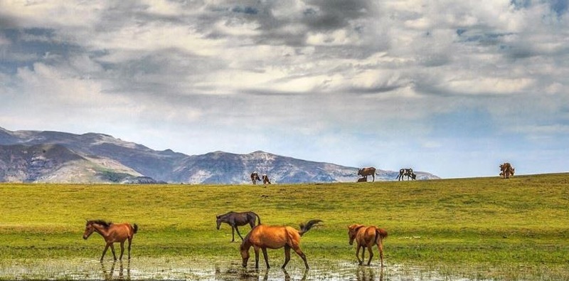 به شهر ما بیایید - سوباتان، ییلاق زیبای شمال به شهر ما بیایید - سوباتان، ییلاق زیبای شمال