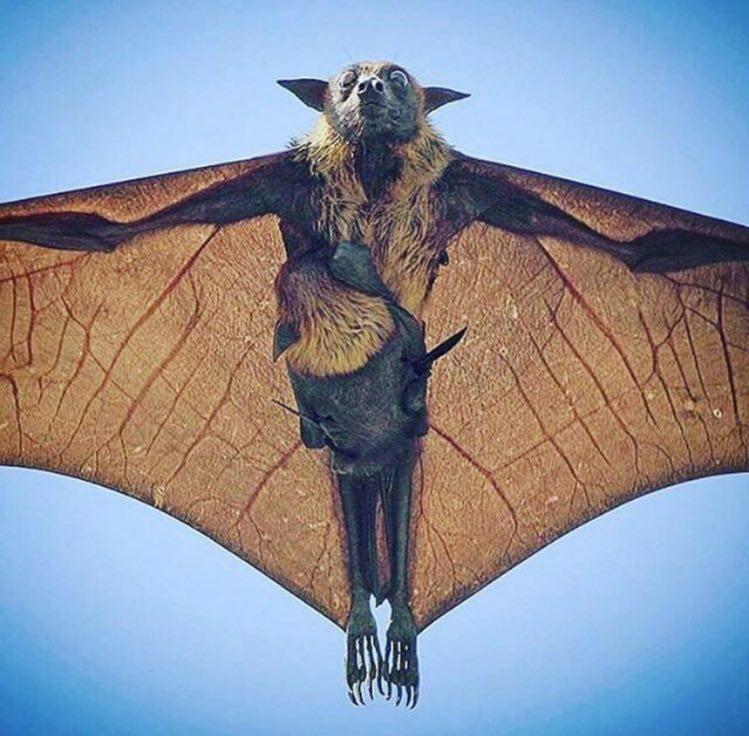 تصاویر جالب از نشنال جئوگرافیک