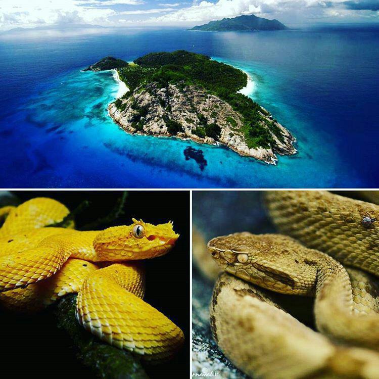 تصاویر جالب از نشنال جئوگرافیک