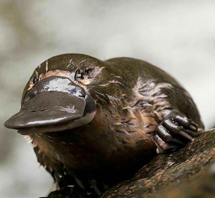 تصاویر جالب از نشنال جئوگرافیک