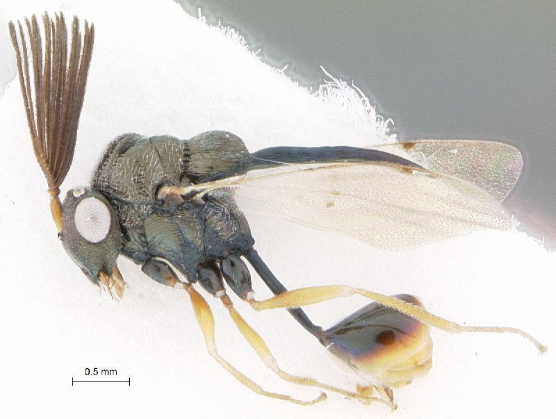 تصاویر جالب از نشنال‌جئوگرافیک 