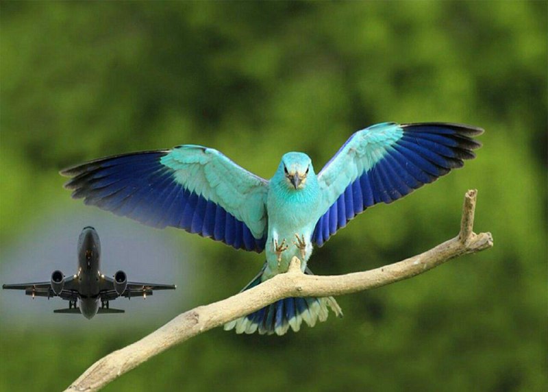 تصاویر جالب از نشنال‌جئوگرافیک