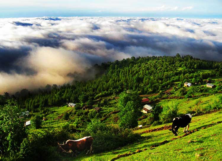 ایران‌شناسی: مازیچال دریچه‌ای به بهشت