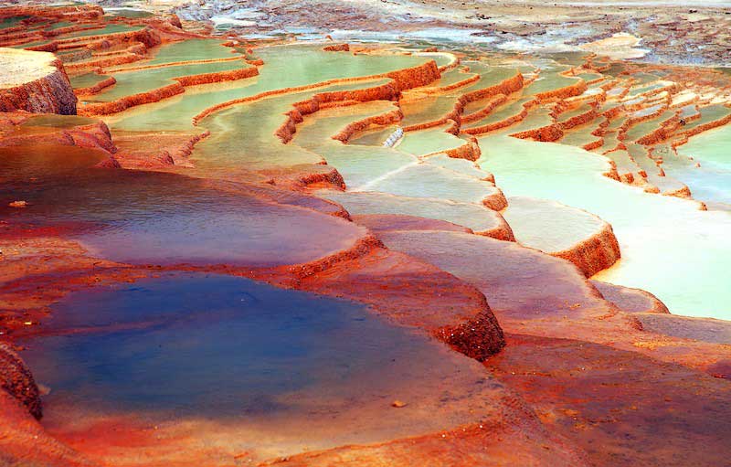 باداب‌سورت؛ از چشم‌نوازهای فراموش‌نشدنی