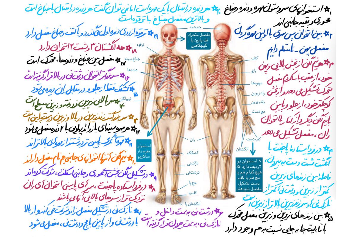 مهدی آرامفر : فیلم تحلیل کامل زیست شناسی آزمون 17 مرداد + عکس