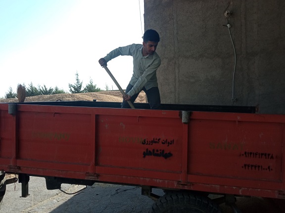 گفتگو با امیرمحمد رمضانی، الگوی استقامت و تاب آوری در مسیر موفقیت