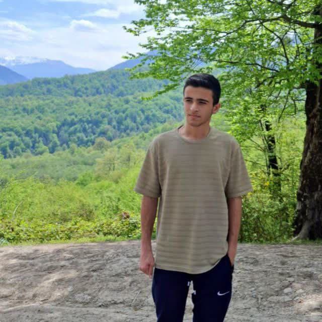 امیر حسین سبزی کار دانش آموز برتر یازدهم ریاضی مدرسه تیزهوشان