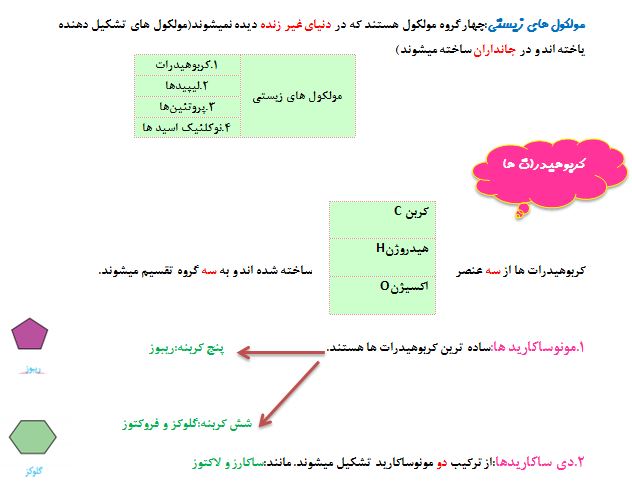 مولکول‌های زیستی - زیست دهم -درس‌نامه - پدیده نعمت پور