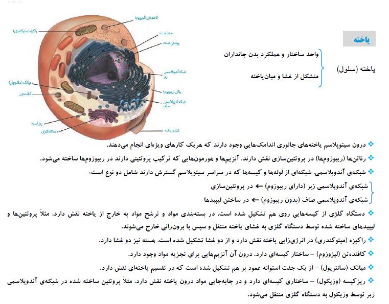 یاخته و بافت در بدن انسان- زیست دهم - درس نامه - مجتبی میرزایی