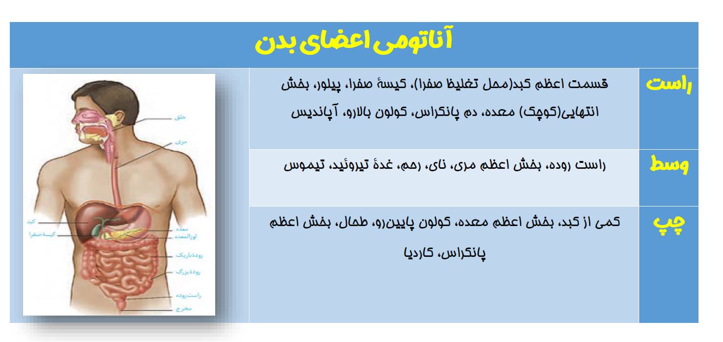 گوارش و جذب مواد - زیست شناسی دهم - درسنامه - سعید شرفی