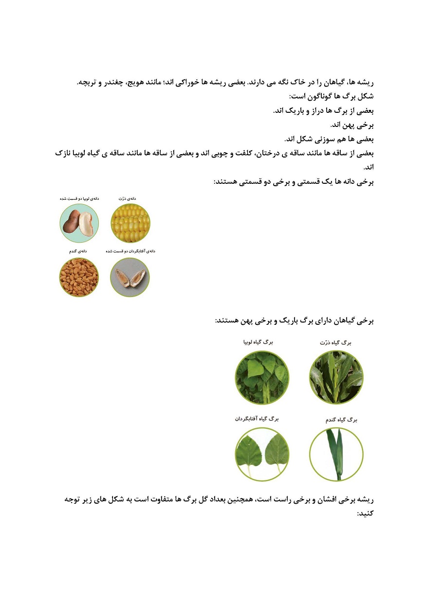 بکارید و ببینید و هر کدام جای خود 1- علوم - مریم موسی زادگان