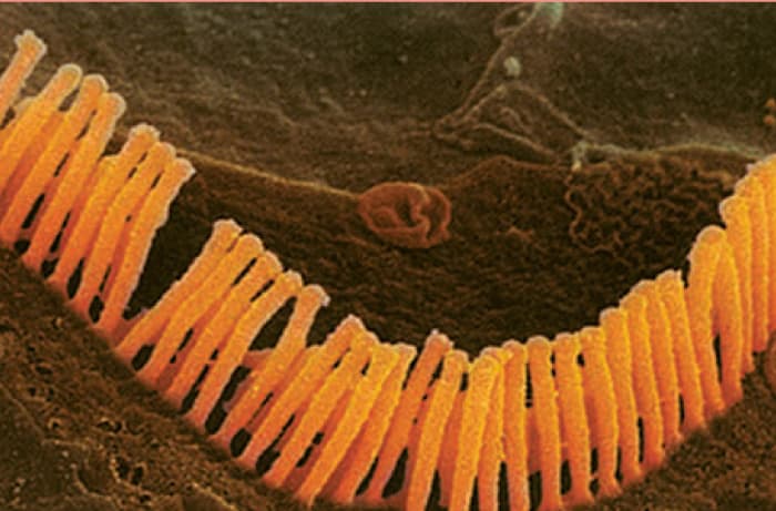 صفر تا صد حواس(بخش اول)