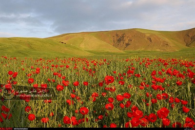 طبیعت زیبای بهاری در ارسباران