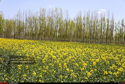 طبیعت زیبای بهاری در ارسباران