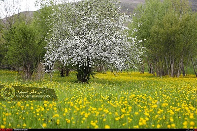 طبیعت زیبای بهاری در ارسباران