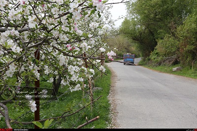 طبیعت زیبای بهاری در ارسباران