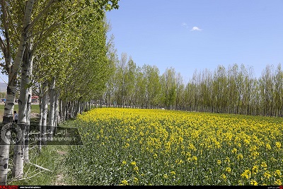 طبیعت زیبای بهاری در ارسباران