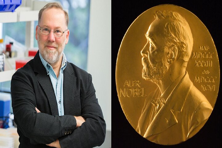 برنده نوبل پزشکی 2025 در کنار خرس‌های گریزلی است!