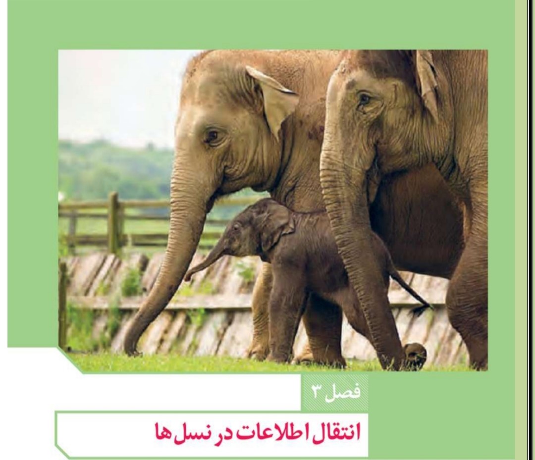 انتقال اطلاعات در نسل ها-زیست دوازدهم-علیرضا آذرخوش