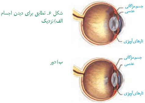 صفر تا صد حواس (4) - زیست یازدهم - محمدمهدی مقصودی