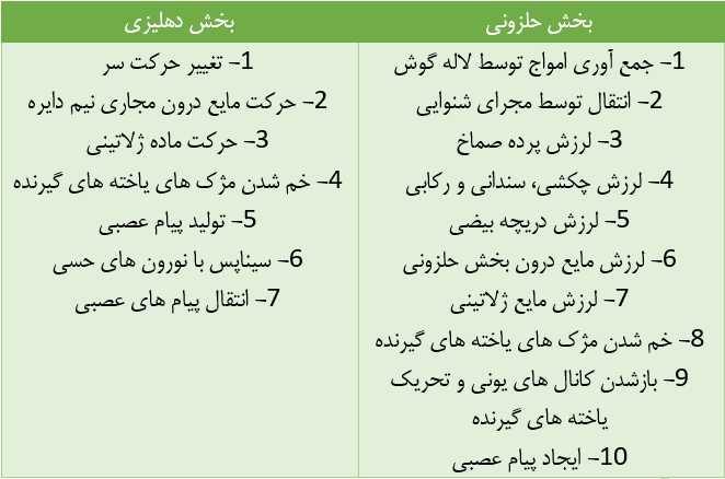 صفر تا صد حواس (6) - زیست یازدهم - محمدمهدی مقصودی