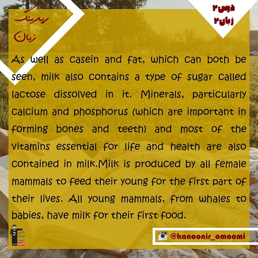 ریدینگ-درس دوم زبان یازدهم-برگزیده از کنکور تجربی-فائزه کریمی