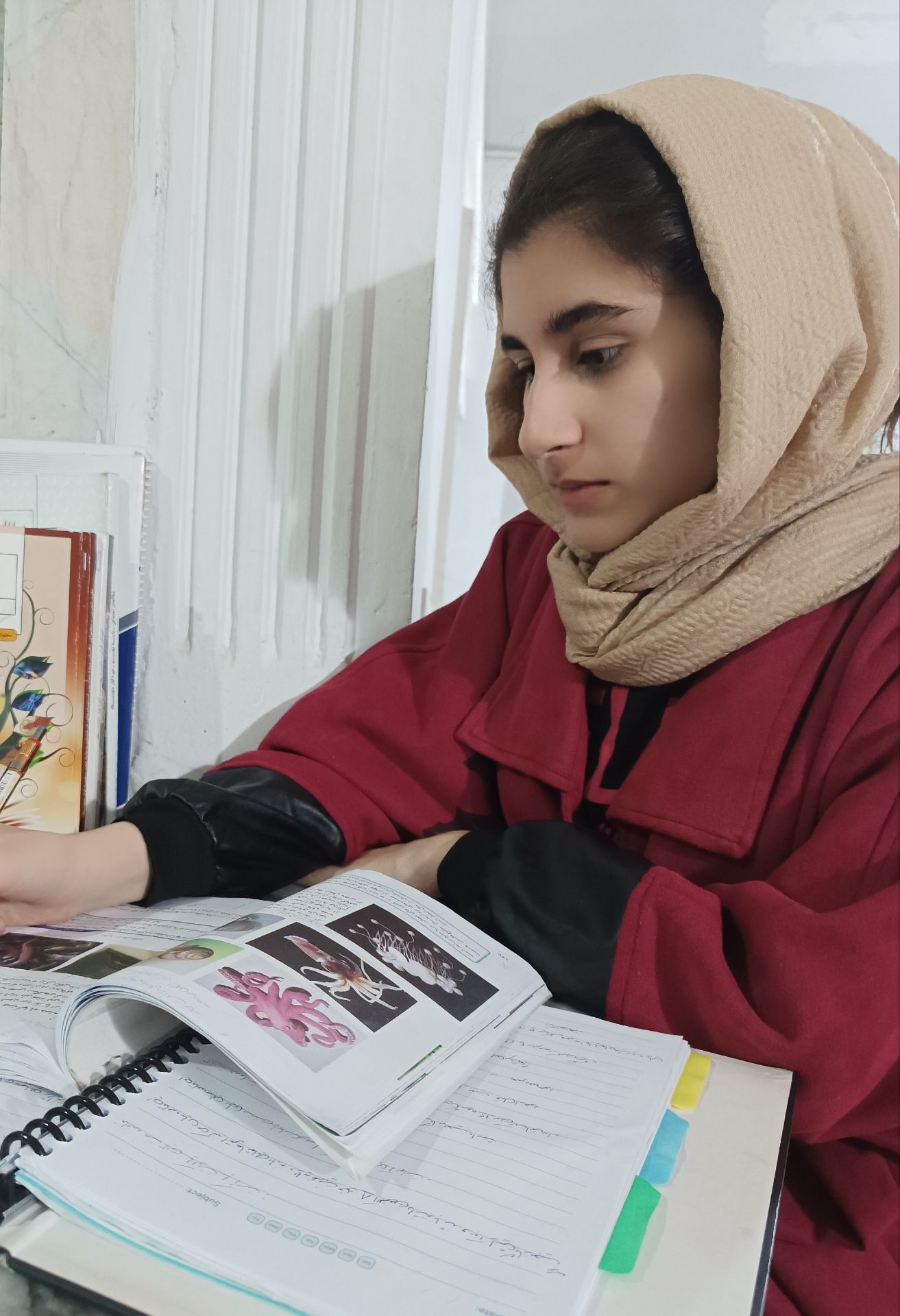 گفت و گو با شیدا عبدی ؛ قهرمان پاییز و پیوستگی در آزمون ها