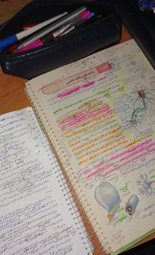 گفت و گو با نازنین شاهی ؛ قهرمان پاییز و پیوستگی در آزمون ها