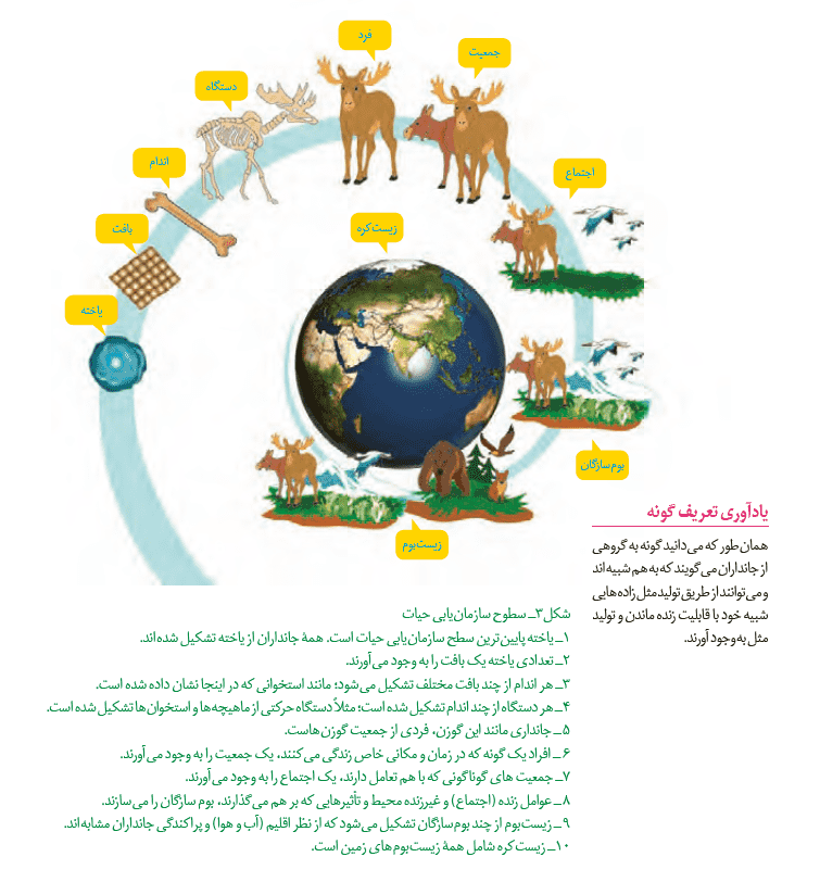 دنیای زنده-زیست شناسی 1-درسنامه-کیارش حقانی