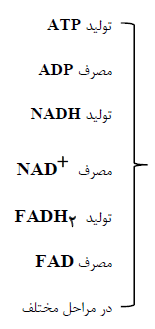 از ماده به انرژی-زیست‌شناسی 3-درسنامه-امیرمحمد طباطبایی