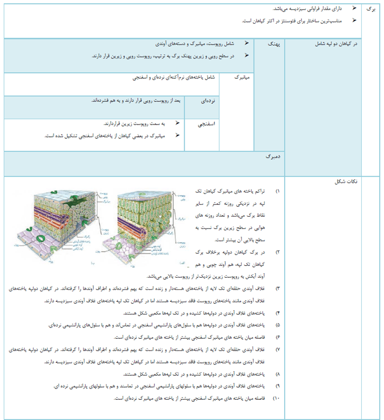 از انرژی به ماده-زیست‌شناسی 3-درسنامه-امیرمحمد طباطبایی