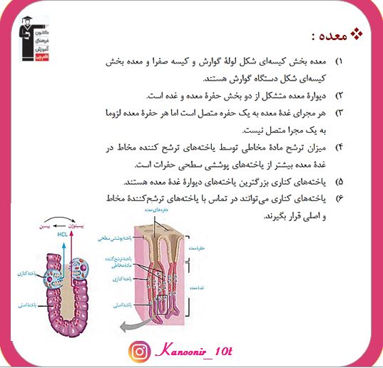 گوارش و جذب مواد-زیست دهم-درسنامه-سعید شرفی