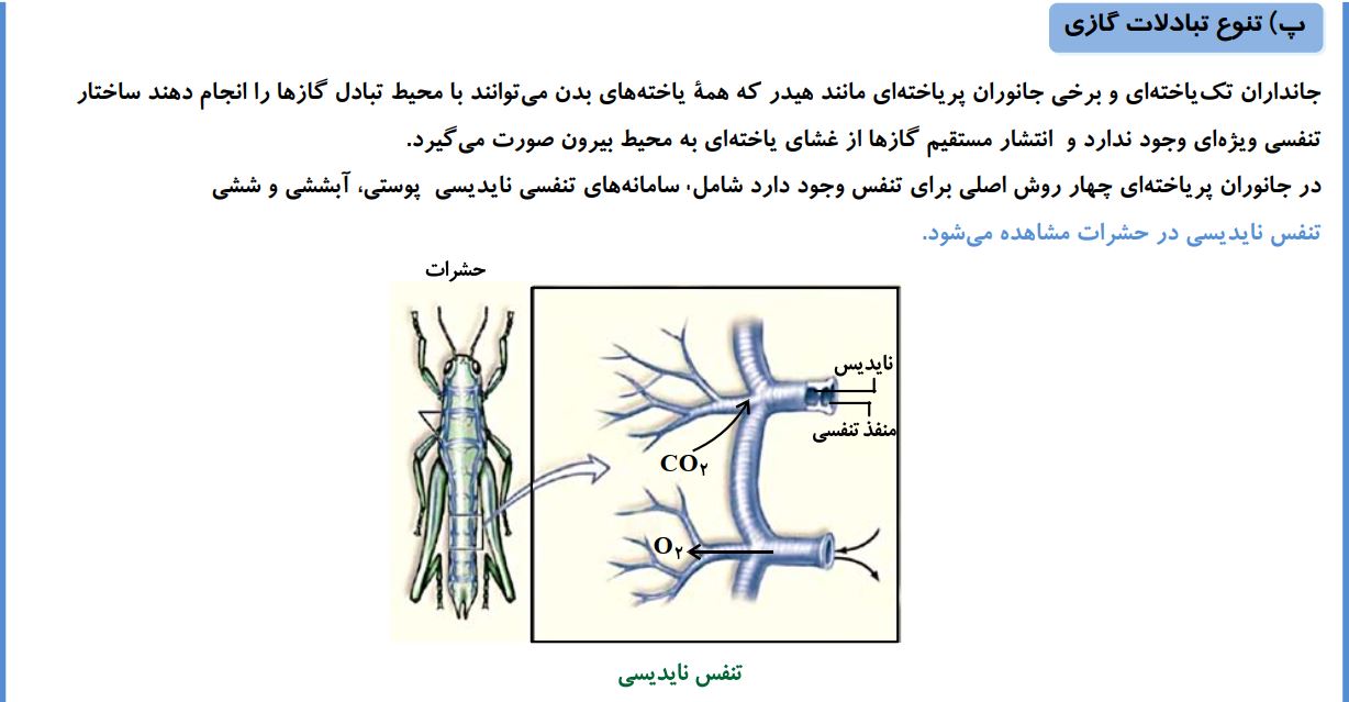 نکات کتاب آبی-تنفس درجانوران تاشبکه هادی قلب-آزمون23دی-حکمتنیا