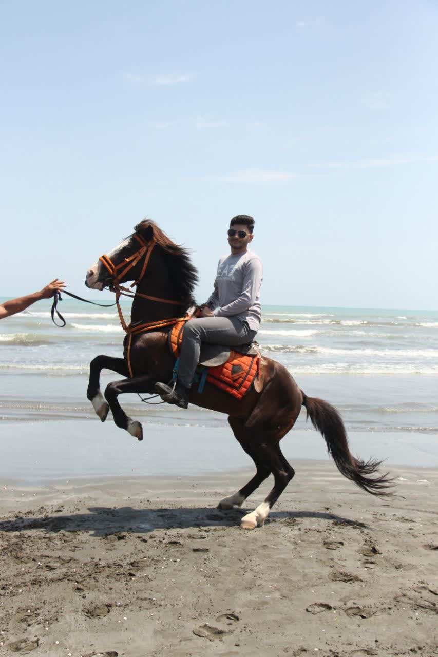 گفت و گو با امیرعلی متینی - قبولی دبیری الهیات کنکور 1404