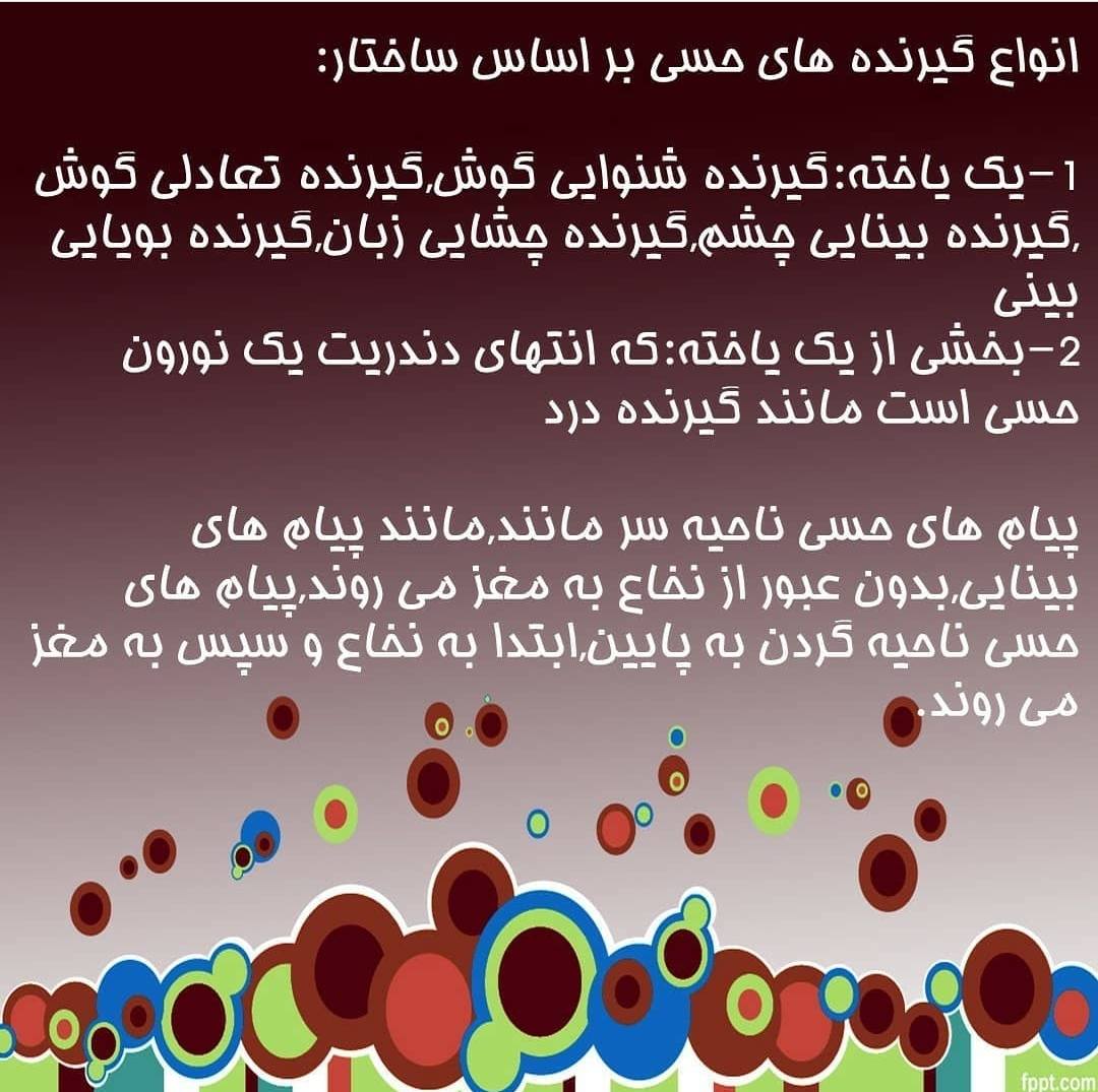 فصل دوم_زیست شناسی یازدهم_هما پرتوانداز