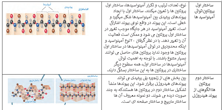 آزمایشات ایوری_زیست دوازدهم_هما پرتوانداز