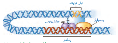 دام احتمالی - زیست3 - آزمون 25 شهریور - فرزین رستمی