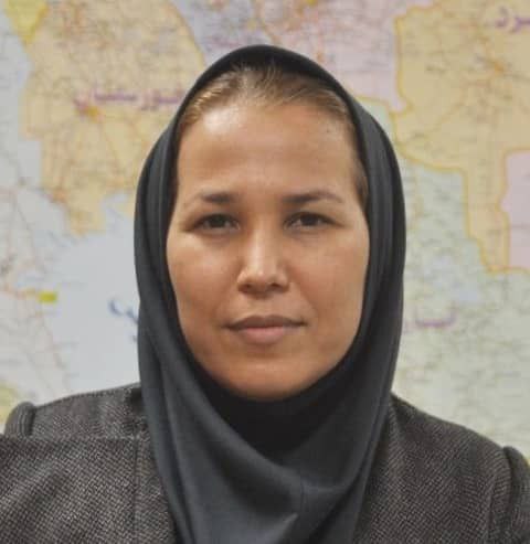 تازه گل آقچه لی