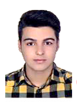 محمدرضا میری