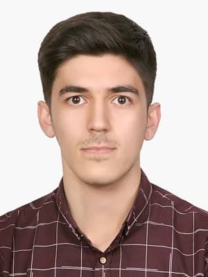 هادی مهدی زاده