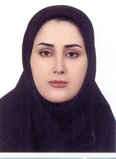 مینا سلیمانی